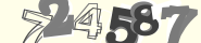 registration captcha